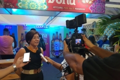 Expo Indústria 2019